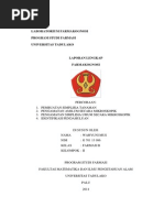 jurnal ekstraksi kafein